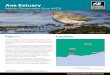 Axe Estuary - The Wildlife Trusts Estuary.pdf · The estuary is of ecological importance because of the areas of saltmarsh, reedbeds and mudflats that it contains. Mudflats provide