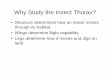 Why Study the Insect Thorax? - Purdue University · 2018-07-31 · Leg Modifications 1. Walking - basic model (cockroach or aphid) 2. Jumping -leg with enlarged femur (grasshopper,