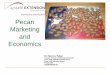 Pecan Marketing and Economicsarkpecangrowers.org/documents/pecan-economics.pdf · Pecan Marketing and Economics. Dr. Marco A. Palma. Associate Professor and Extension Economist Texas