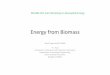 Energy from Biomass - Ministerio Economía · Energy from Biomass Work Supported BY MNRE P. J. Paul ... Bangalore 560012. Overview • Biomass and its potential for power ... Teri