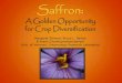 A Golden Opportunity for Crop Diversificationsaffron/Resources/Presentations/SaffronGoldOppNov72016.pdfSaffron quality Sample # Source Growing method Harvest time 1 VT HT In-crate