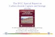 The IPCC Special Report on Carbon dioxide Capture and ... · INTERGOVERNMENTAL PANEL ON CLIMATE CHANGE (IPCC) The IPCC Special Report on Carbon dioxide Capture and Storage (CCS) EU-OPEC