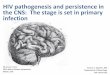 HIV pathogenesis and persistence in the CNS: The stage is ...cfar.med.miami.edu/documents/Serena_Spudich,_Yale_University,_USA.pdfHIV pathogenesis and persistence in the CNS: The stage