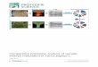 Comparative proteomic analysis of somatic embryo maturation in Carica papaya L. · 2018-04-04 · RESEARCH Open Access Comparative proteomic analysis of somatic embryo maturation
