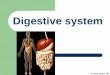 Digestive system - Islamic University of Gazasite.iugaza.edu.ps/sizaqout/files/2012/04/Digestive-System.pdf · Numerous serous (von Ebner's) glands drain their contents into the deep
