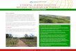 ETHIOPIA: HUMBO ASSISTED NATURAL ......Description The Ethiopia Humbo Assisted Natural Regeneration project has taken a community-based approach to land restoration. In less than four