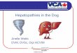Hepatopathies in the Dog - MOVEH 24 hour Animal Hospitalvetemergency.ca/wp-content/uploads/2017/11/Hepatopathies-final.pdf · Silymarin (Milk thistle) ! Anti-oxidant ! Problems with
