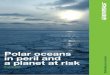 Polar oceans in peril and - Greenpeace · Greenpeace International Polar oceans in peril and a planet at risk 7 G r e e n p e a c e / n i c k c O B B i n G Greenpeace believes that