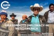 GRASSROOTS DIPLOMACY IN MESOAMERICA · MESOAMERICA. Nazareth Porras IUCN Mexico, Central America and TheCaribbean. CONTENTS. INTERNATIONAL UNION FOR CONSERVATION OF NATURE. 2. 1