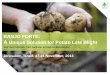 BANJO FORTE: A Unique Solution for Potato Late Blight 2... · Banjo Forte: Effect on LB isolates 2013* *Pot Trial, Huub Schepers, PPO Different LB Isolates 0 10 20 30 40 50 60 70