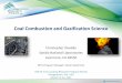 Coal Combustion and Gasification Science · 2014-03-19 · •Practical CFD codes for modeling coal combustion in full-scale boilers/gasifiers cannot calculate boundary layer chemistry