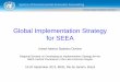 Global Implementation Strategy for SEEA(e.g. implementation guidelines, data assessment tools, training materials, E-learning, technical notes), training strategy, capacity building