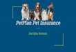 PetPlan Pet Insurance · Pet Plan Pet Insurance can use this information to adjust its marketing scheme to attract people with younger pets for a greater LTV of each pet with coverage
