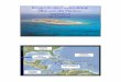 Projecto de Pedro Bank (Banco de Pedro) Jamaica el Caribe · ATLANTICO OCEANO PACIFICO MAR CARIBENO ... ZEE (Zona Economica Exclusiva) – 275,000km2 (25 x mas grande del pais) Muchas