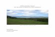 Clifton Estate, Nevis: An Account of Absence and Ambitionemceee/cliftonhistory.pdf · Clifton Estate, Nevis: An Account of Absence and Ambition Introduction Clifton Estate in the