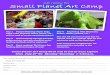 Get ready for Small Planet Art Camp · Get ready for Small Planet Art Camp Yes! I would like my child to join Art Camp! I enclose a check for $140 for my child’s tuition: July 27