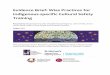 Evidence Brief: Wise Practices for Indigenous-specific ...soahac.on.ca/.../CS_WisePractices_FINAL_11.02.17.pdf · Health and Wellbeing, Centre for Urban Health Solutions, St. Michael’s