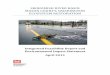 SKOKOMISH RIVER BASIN MASON COUNTY, WASHINGTON … · Skokomish River Basin Ecosystem Restoration Table of Contents Feasibility Report / Environmental Impact Statement Page ii This