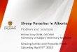 Sheep Parasites in Alberta...Sheep Parasites in Alberta Problem and Solutions Michel Lévy DVM, DACVIM University of Calgary Veterinary Medicine Grazing lambs and Parasite PlansHaemonchus