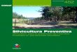 Corporación Nacional Forestal · Documento de Trabajo 452 CONAF Corporación Nacional Forestal Silvicultura Preventiva Silvicultura para la prevención de incendios forestales en