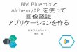 IBM Bluemix AlchemyAPI を使って 画像認識 アプリ …これからこんなアプリを作ります。認識対象画像のURLを（パラメータで）指定すると、