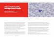 Granulocytic Anaplasmosis - files.brief.vet Anaplasmosis.pdf · changes that could be consistent with anaplasmosis (eg, thrombocytopenia, intracellular morulae). Treatment with doxycycline