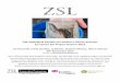 European Eel Project Report 2013...1 The Zoological Society of London’s Citizen Science, European Eel Project Report 2013 Joe Pecorelli, Emily Humble, Jo Barker, Stephen Mowat, Alison