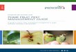 EXTENSION AND ADVISORY TEAM POME FRUIT …...A guide to insect, mite, and disease management in apple and pear orchards in Nova Scotia POME FRUIT PEST MANAGEMENT GUIDE FOLLOW US @NSPERENNIA