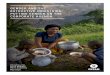 GENDER AND THE EXTRACTIVE INDUSTRIES: PUTTING GENDER ON … · 2016-05-23 · A CASE STUDY OF CALEDONIA’S BLANKET MINE Christina Hill, Chris Madden, Maria Ezpeleta May 2016 GENDER