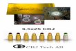 6.5x25 CBJ - CBJ Tech | CBJ Tech · Realizing this, CBJ Tech has developed a cartridge system based on the new caliber 6.5x25 CBJ, which, after changing the barrel, can be used in