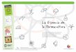 La Esencia de la Permacultura - Versión en Español · 2013-10-01 · La Esencia de la Permacultura Un resumen de los conceptos y los principios de permacultura extraídos del libro