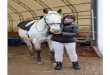 Reiki, Horses and - Hidden Brook Farm€¦ · Levels I and II Reiki, as is her mom. Taryn uses her own Reiki at night when her stomach feels funny and it helps that and also helps