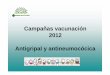 Campañas vacunación 2012 Antigripal y antineumocócica · • Embarazadas y primeros 6 meses del puerperio · Personal de la salud, · Niños de 6 meses a 4 años de edad ... cloruro