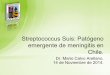 Streptococcus Suis: Patógeno emergente de meningitis en Chile....• Leucocitos 16.850/mm3 con neutrofilia. • Otros parámetros hematológicos y BQ eran normales . Punción Lumbar