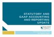 STATUTORY AND GAAP ACCOUNTING AND REPORTING …...Statutory Accounting and Reporting Revisions ... Goodwill Limitation and Reporting SAPWG 2017-18 ... financial support to the SCA,