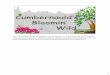Bloomin Wild - Keep Scotland Beautiful · 2017-11-28 · Cumbernauld’s Bloomin’ Wild The partnership of Cumbernauld Living landscape co-ordinates local groups for the umbernauld’s