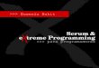 Scrum y eXtreme Programming para Programadoresumh2818.edu.umh.es/wp-content/uploads/sites/884/2016/02/Scrum-y-eXtrem... · Institute1 más conocido como PMI® podemos encontrarnos