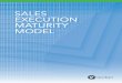 SALES EXECUTION MATURITY MODEL - Execution Maturity Model.¢  SALES EXECUTION MATURITY MODEL / Page 3