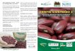 MANEJO DE PLAGASarsftfbean.uprm.edu/bean/wp-content/uploads/2020/02/... · 2020-02-12 · CENTA COSTEÑO 2 Variedad de frijol grano rojo para condiciones de humedad limitada y altas