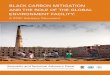 BLACK CARBON MITIGATION AND THE ROLE OF …...BLACK CARBON MITIGATION AND THE ROLE OF THE GLOBAL ENVIRONMENT FACILITY: A STAP Advisory Document Scientific and Technical Advisory Panel