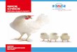 NICK CHICK - H&N Int · 7.2 – 7.3 kg Daily feed intake in production 103 – 108 g Feed Conversion Rate (kg/kg) until 72 weeks 1.95 until 80 weeks 1.96 until 100 weeks 2.05 SUMMARY