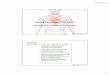Nursing Care of the ECMO Patient · Nursing Care of the ECMO Patient Sheila Chucta, DNP, RN, APRN-CNS, CCRN, ACNS-BC 2 | ICU Leveling Staffing . ... Review plan of care for skin integrity