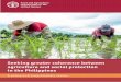 Seeking greater coherence between in the Philippines · 2019-11-18 · >> Prepare joint investment plans that could ensure greater coherence between social protection and agriculture