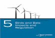 New York Wind Energy Guide for Local Decision Makers: Birds … · 2017-06-23 · New York Wind Energy Guide for Local Decision Makers: Birds and Bats: Impacts and Regulation. 2 