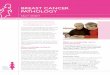 BREAST CANCER PATHOLOGY - Microsoft...‘I’m a nurse and know medical terminology, but when diagnosed, there was heaps in my breast cancer pathology report that I didn’t understand