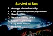 Survival at Sea - University of Washingtoncourses.washington.edu/fish450/Lecture PDFs/Survival_at... · 2012-03-13 · Survival at Sea A. Average Marine Mortality B. Life Cycles of