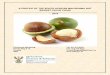 A PROFILE OF THE SOUTH AFRICAN MACADAMIA NUT MARKET … Public… · Macadamia oil's rich, ... In 2010, production of dry in shell macadamia nuts has increased by 21% when compared