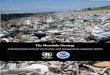 The Honolulu Strategy - OR&R's Marine Debris Program · 2015-01-16 · Acknowledgements The Honolulu Strategy was developed with the support and assistance of scientists, practitioners,