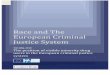Race and the Criminal Justice System Europe 1ab · Criminal Justice System ... 2008. However, the sole responsibility for the project lies with the author and the European Commission