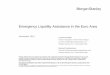 Emergency Liquidity Assistance in the Euro Area · Emergency Liquidity Assistance in the Euro Area November 2010 Morgan Stanley does and seeks to do business with companies covered